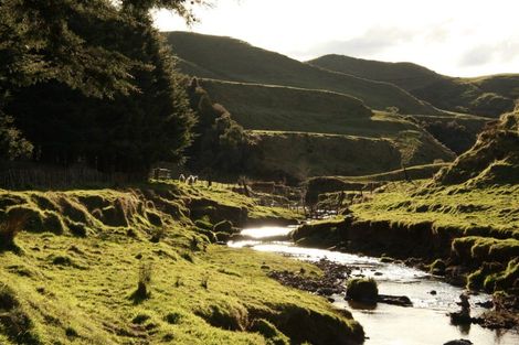 Photo of property in 6339 Matawai Road, Matawai, 4075