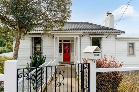 Photo of property in 17 Littlebourne Road, Roslyn, Dunedin, 9010