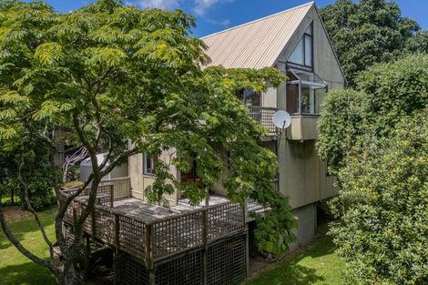 Photo of property in 863 Black Jack Road, Opito Bay, Whitianga, 3592