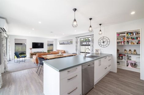 Photo of property in 24 Charles Major Road, Rolleston, 7614