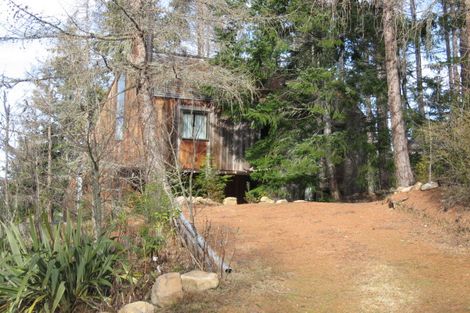 Photo of property in 21 Strode Avenue, Naseby, 9396