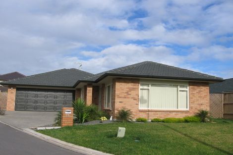 Photo of property in 13 Tsar Court, Flat Bush, Auckland, 2016