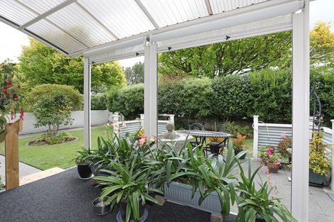 Photo of property in 151 North Street, Feilding, 4702