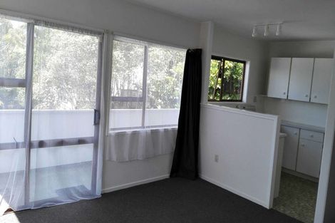 Photo of property in 45 Archers Road, Hillcrest, Auckland, 0629