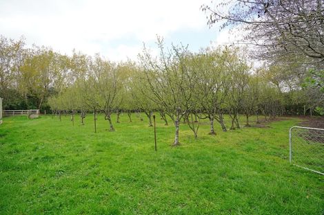 Photo of property in 420 Mcivor Road, Myross Bush, Invercargill, 9876