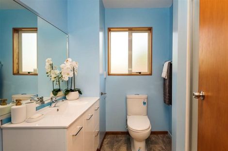 Photo of property in 60b Halswell Road, Hillmorton, Christchurch, 8025