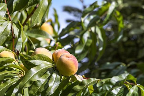 Photo of property in 605 Matakana Road, Warkworth, 0985