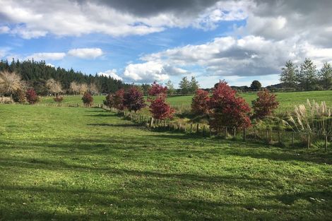 Photo of property in 255 Ararimu Valley Road, Helensville, Waimauku, 0882