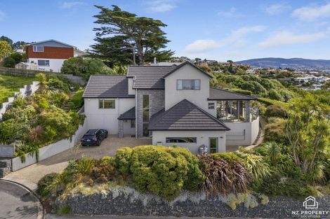 Photo of property in 4f Clayton Street, Saint Clair, Dunedin, 9012