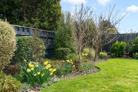 Photo of property in 4 Mervyn Brown Place, Solway, Masterton, 5810