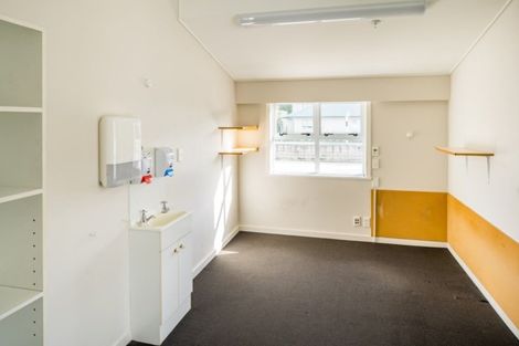 Photo of property in Britannia House, 38 Britannia Street, Petone, Lower Hutt, 5012