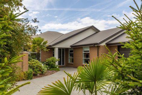 Photo of property in 112 Metehau Street, Marshland, Christchurch, 8083