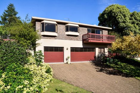 Photo of property in 17 Carew Street, Nawton, Hamilton, 3200