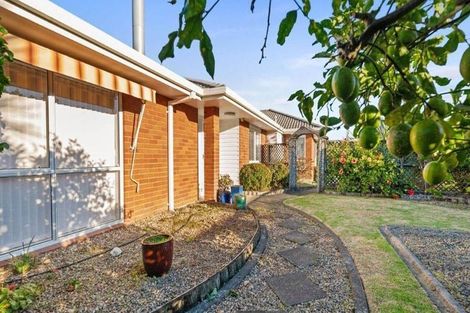 Photo of property in 5 Bayfair Drive, Mount Maunganui, 3116