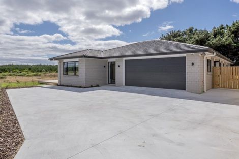 Photo of property in 13 Oxnam Place, Foxton Beach, Foxton, 4815