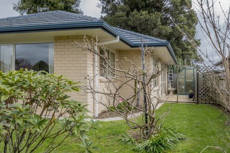 Photo of property in 71 Rugby Street, Levin, 5510