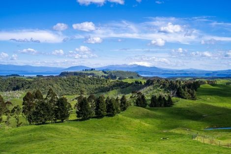 Photo of property in 473 Otake Road, Marotiri, Taupo, 3377