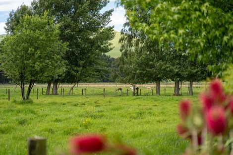 Photo of property in 365 Bluff Rangitumau Road, Rangitumau, Masterton, 5871