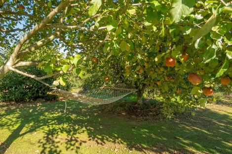 Photo of property in 12 Nga Parae Road, Oropi, Tauranga, 3173