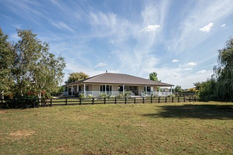 Photo of property in 81 Racecourse Road, Cambridge, 3493