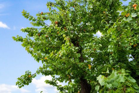 Photo of property in 41 Barker Road, Marewa, Napier, 4110