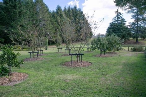 Photo of property in 113/117 Main Road, Tirau, 3410