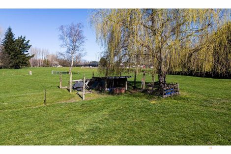 Photo of property in 12 Coles Street, Geraldine, 7930