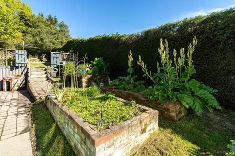 Photo of property in 68 Peel Street, Geraldine, 7930