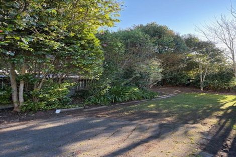 Photo of property in 8a Carey Street, Maeroa, Hamilton, 3200