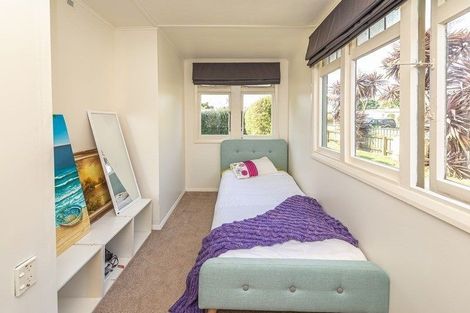 Photo of property in 19 Nikau Street, Tawhero, Whanganui, 4501