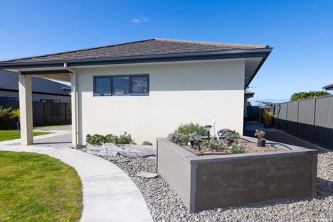 Photo of property in 228 Avondale Road, Greenmeadows, Napier, 4112