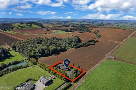 Photo of property in 4 Mile Bush Road, Pukekawa, Tuakau, 2696