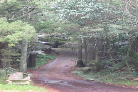 Photo of property in 43 Western Road, Laingholm, Auckland, 0604