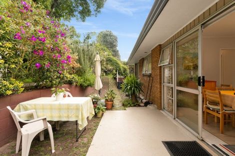 Photo of property in 279a Maungatapu Road, Maungatapu, Tauranga, 3112