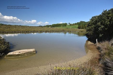 Photo of property in 245 Metcalfe Road, Matakohe, 0593