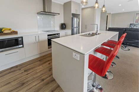 Photo of property in 15 Youngberry Drive, Richmond, 7020