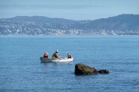 Photo of property in 501 Marine Drive, Sunshine Bay, Lower Hutt, 5013