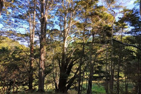 Photo of property in 356 Te Tio Road, Umawera, Okaihau, 0476