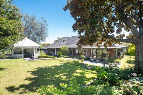 Photo of property in 6 Chestnut Court, Havelock North, 4130