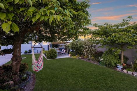 Photo of property in 16 Donegal Street, Belfast, Christchurch, 8051