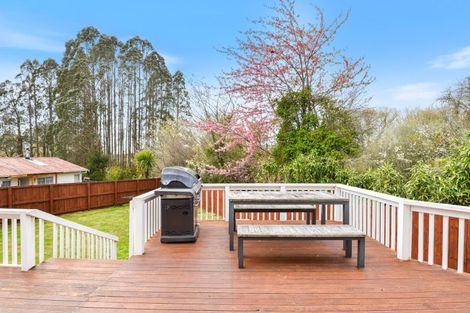 Photo of property in 19a Augustus Earle Place, Pukehangi, Rotorua, 3015