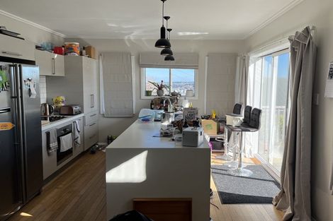 Photo of property in 175 Signal Hill Road, Opoho, Dunedin, 9010