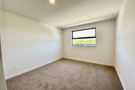 Photo of property in 64 Southfield Drive, Lincoln, 7608