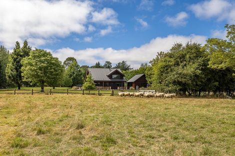 Photo of property in 234 Alford Forest Settlement Road, Alford Forest, Ashburton, 7771