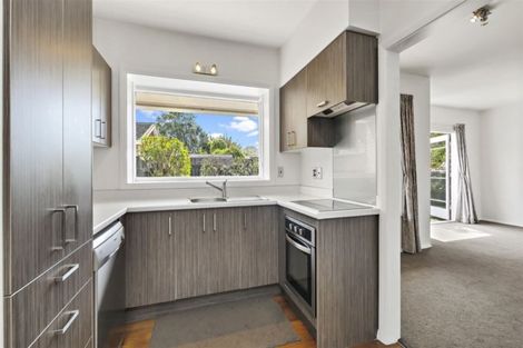 Photo of property in 79 Kahu Road, Fendalton, Christchurch, 8041