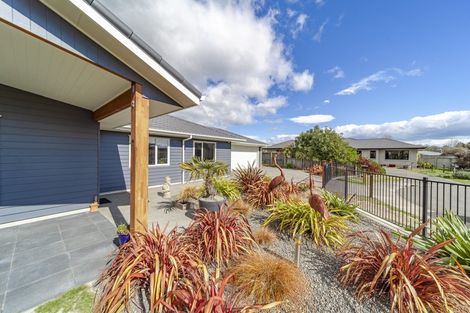 Photo of property in 18 Belgrove Place, Waipukurau, 4200