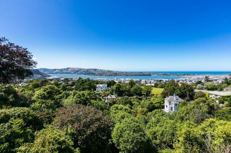 Photo of property in 28 Tweed Street, Roslyn, Dunedin, 9010