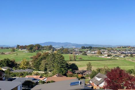 Photo of property in 255 Greenhill Drive, Te Awamutu, 3800