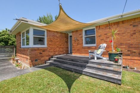 Photo of property in 149 Rimu Street, Maeroa, Hamilton, 3200