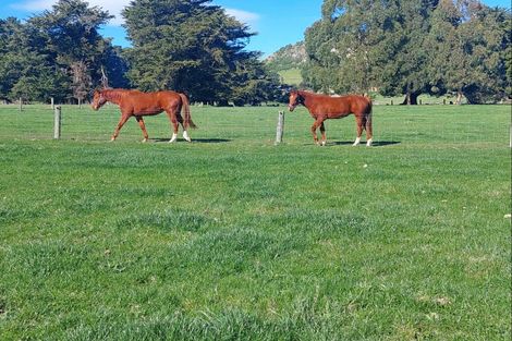 Photo of property in 201 Weston-ngapara Road, Whitstone, Oamaru, 9491